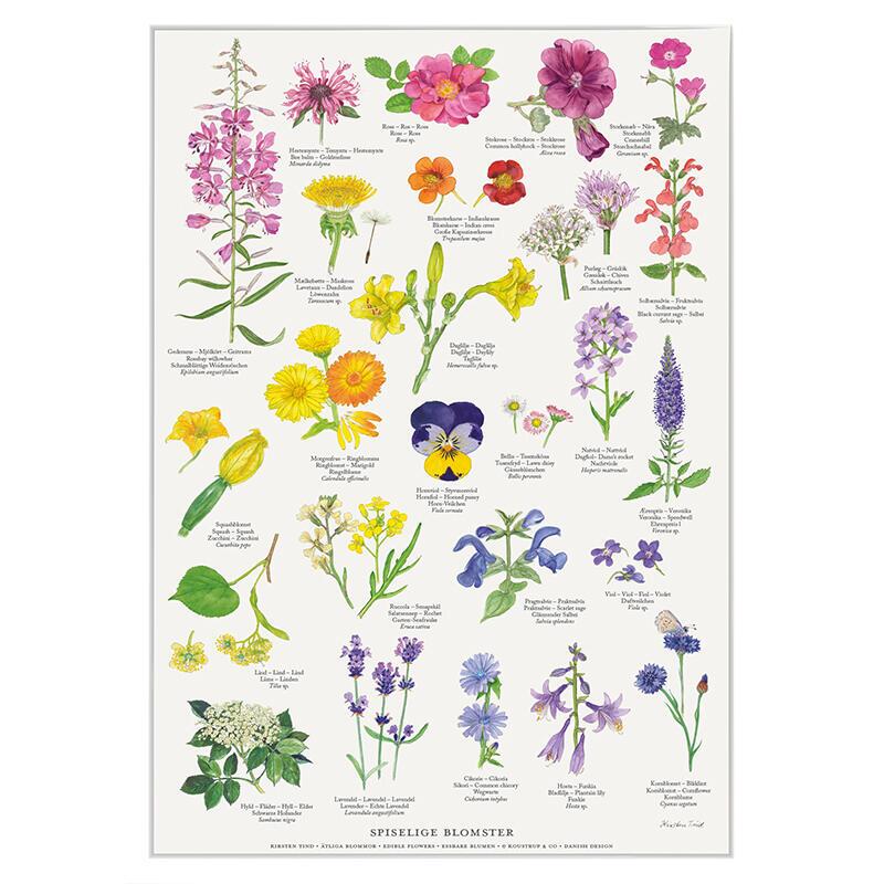 tbara-blommor-affisch-a2-koustrup-co